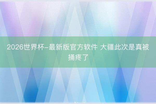 2026世界杯-最新版官方软件 大疆此次是真被捅疼了