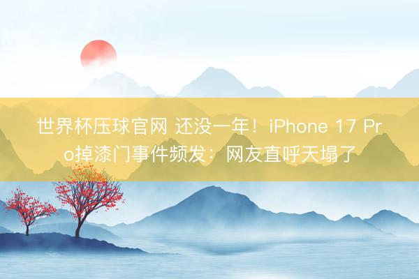 世界杯压球官网 还没一年！iPhone 17 Pro掉漆门事件频发：网友直呼天塌了