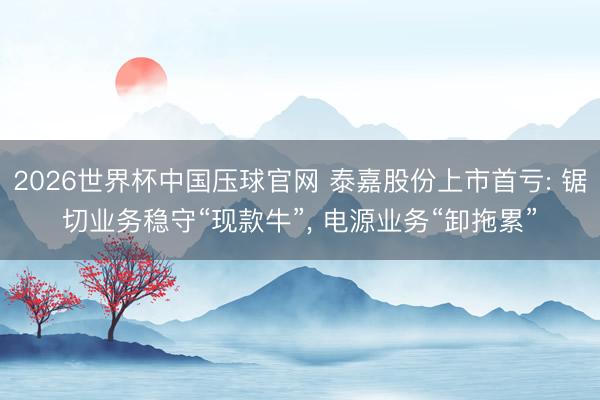 2026世界杯中国压球官网 泰嘉股份上市首亏: 锯切业务稳守“现款牛”， 电源业务“卸拖累”