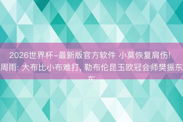 2026世界杯-最新版官方软件 小莫恢复肩伤! 周雨: 大布比小布难打, 勒布伦昆玉欧冠会师樊振东
