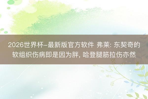 2026世界杯-最新版官方软件 弗莱: 东契奇的软组织伤病即是因为胖， 哈登腿筋拉伤亦然