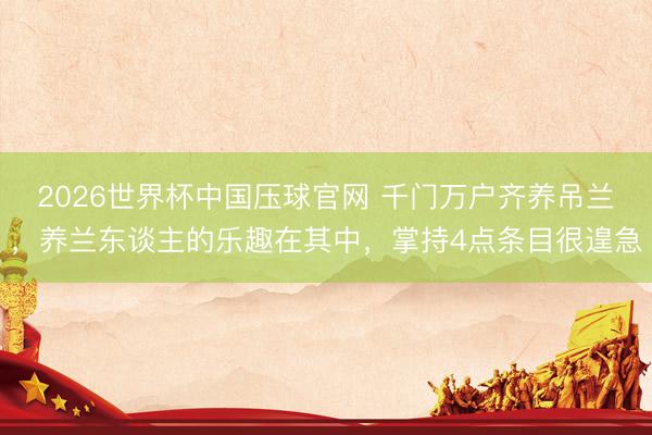 2026世界杯中国压球官网 千门万户齐养吊兰,养兰东谈主的乐趣在其中,掌持4点条目很遑急