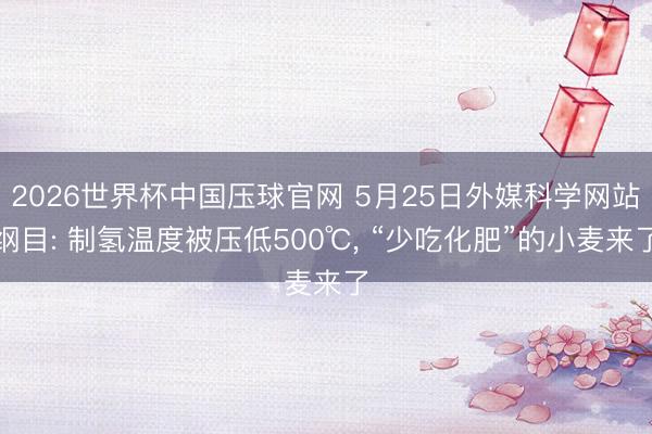2026世界杯中国压球官网 5月25日外媒科学网站纲目: 制氢温度被压低500℃， “少吃化肥”的小麦来了