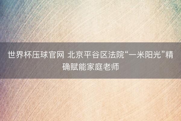 世界杯压球官网 北京平谷区法院“一米阳光”精确赋能家庭老师