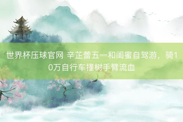 世界杯压球官网 辛芷蕾五一和闺蜜自驾游,骑10万自行车撞树手臂流血