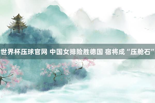 世界杯压球官网 中国女排险胜德国 宿将成“压舱石”